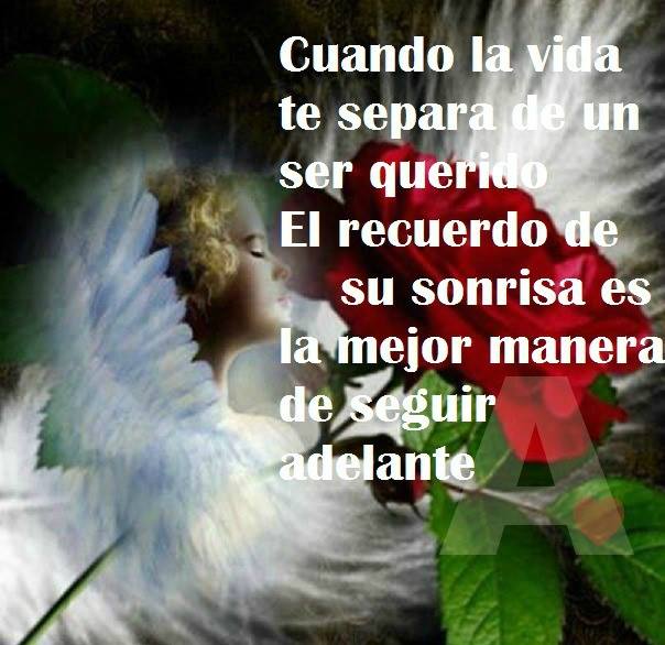 ninstructora2 tweet media