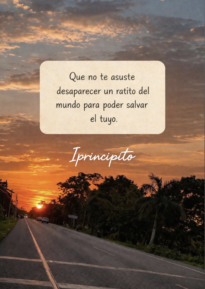 El Principito ✨ tweet media