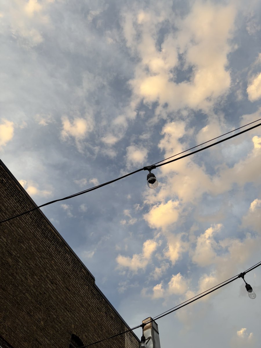 Backgroundsmusicmn tweet media