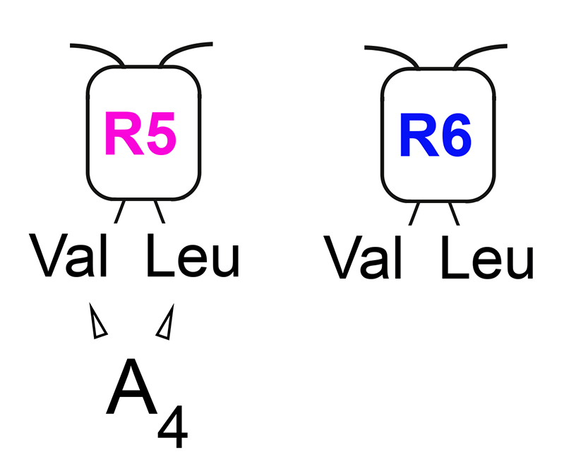 RNA tweet media