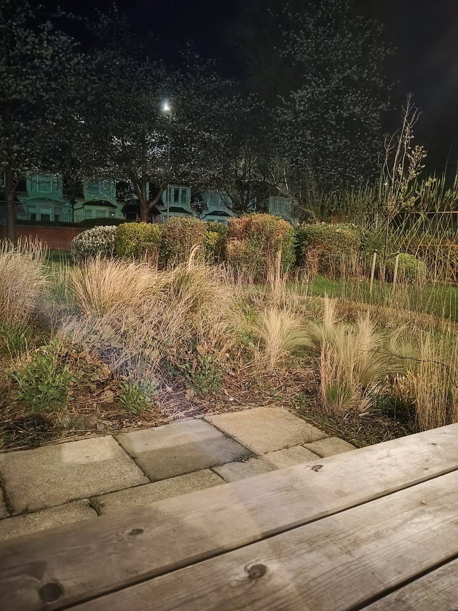 MMcadidas's tweet image. Insomnia is a fucker but at least I have the gardens to sit in and get some fresh air when it comes #insomnia