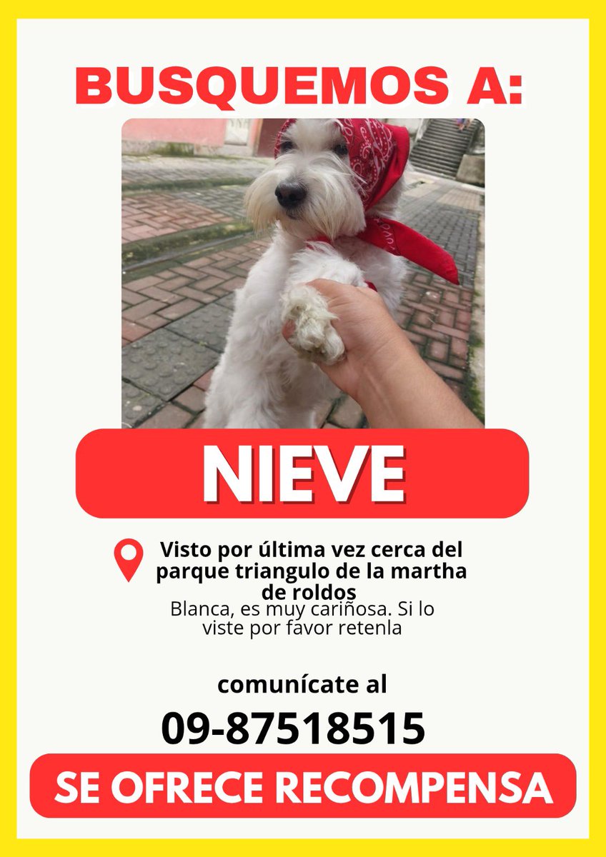 Alerta me perdi tweet media