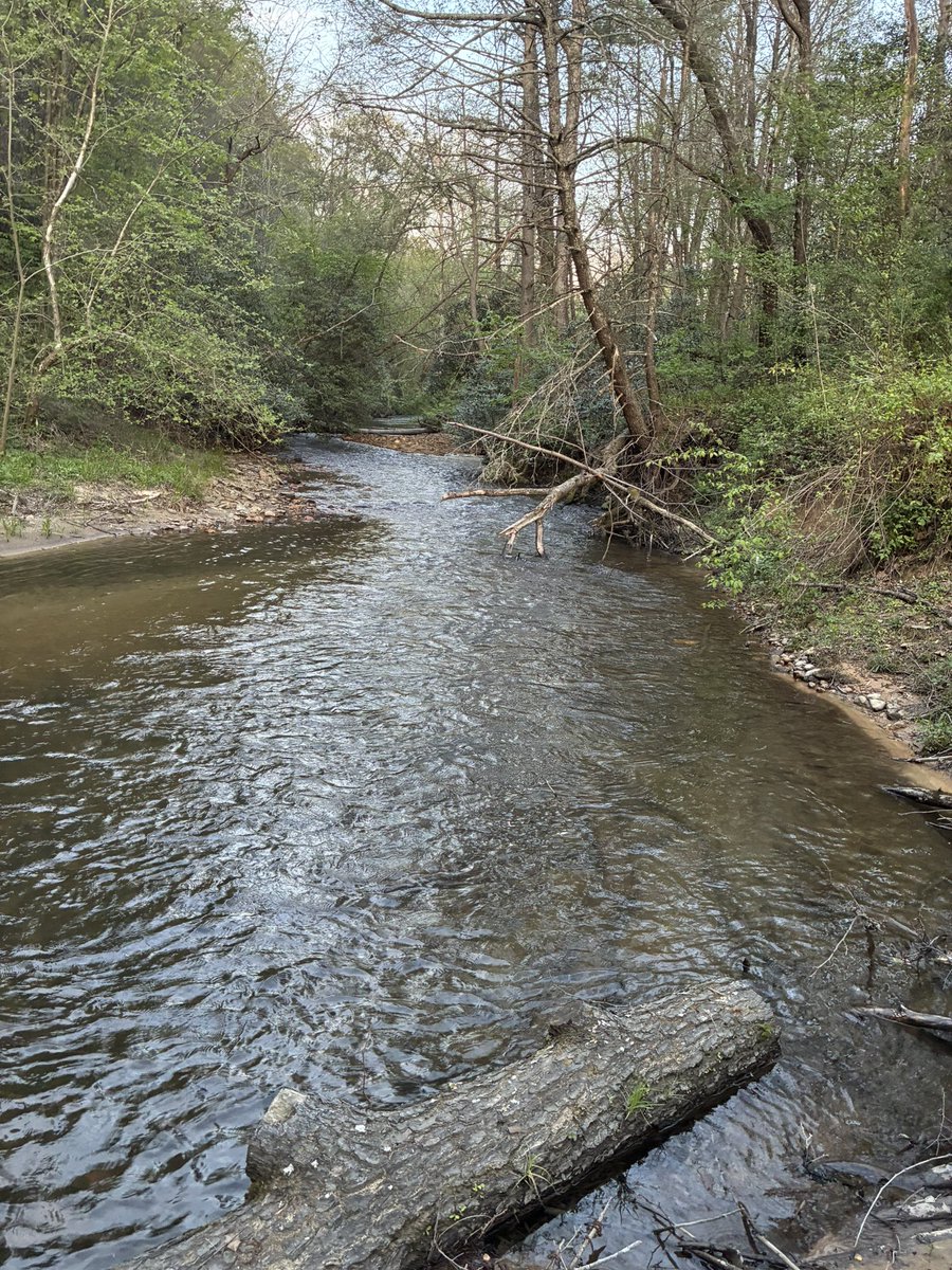 CountryTash tweet media