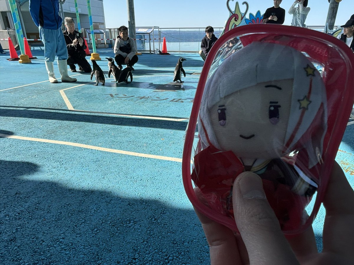 みっくん⚡️/海月 tweet media