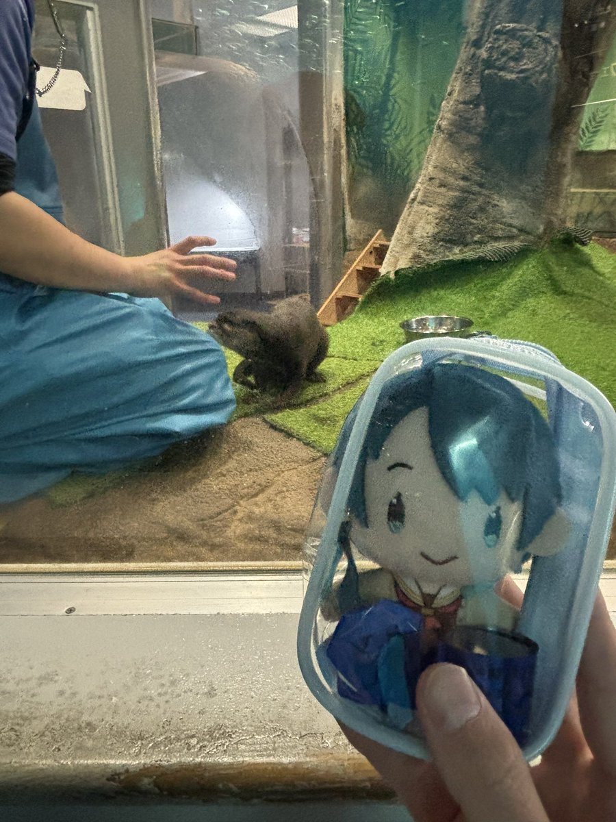 みっくん⚡️/海月 tweet media