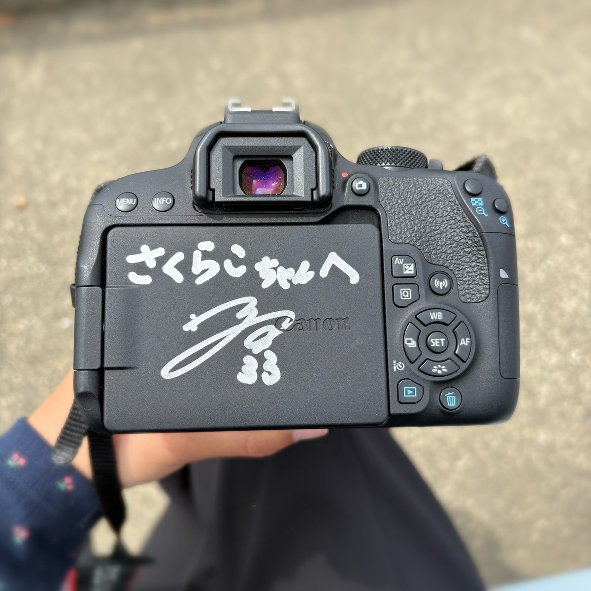 さくらこ tweet media