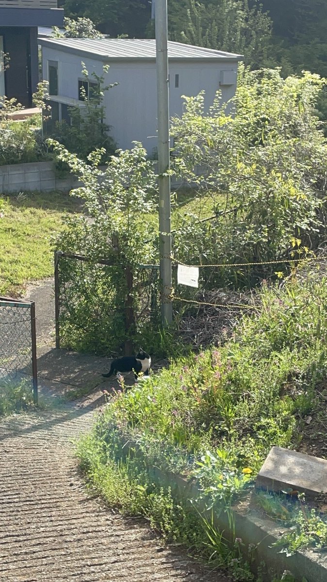 matopy(的場英也) tweet media