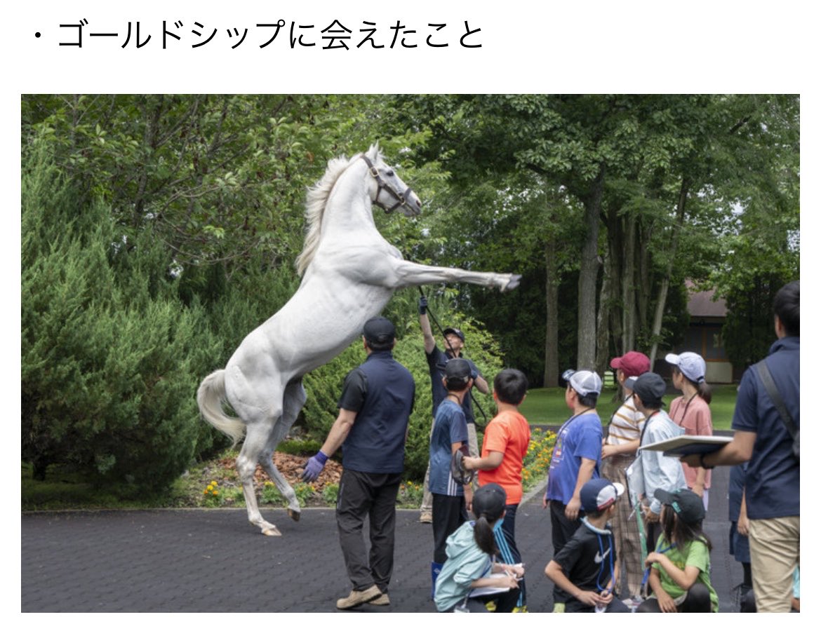 エリバ助手 tweet media