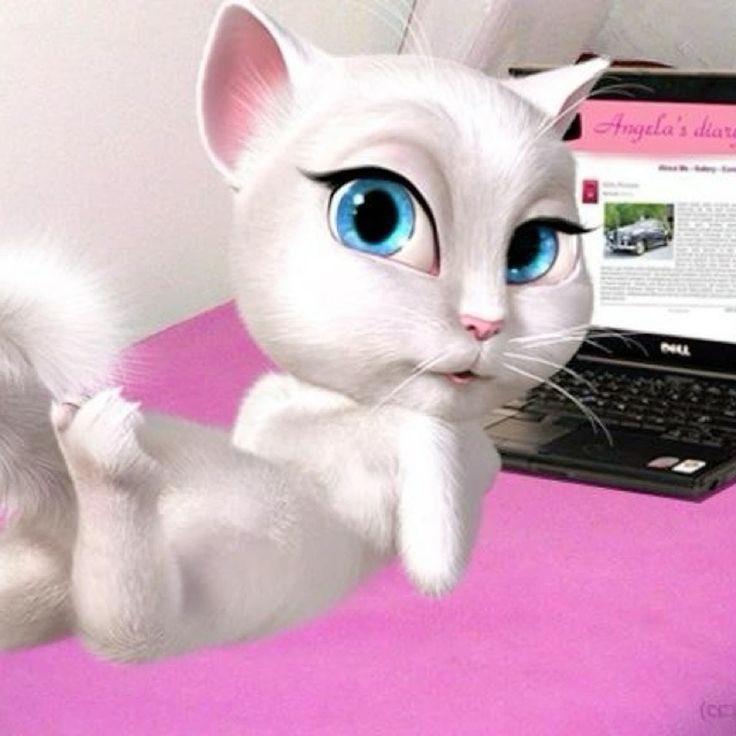 breakable heaven tweet media