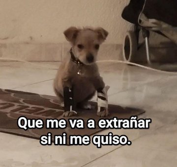 FraseSimple's tweet photo. https://t.co/ftvULm3OHA