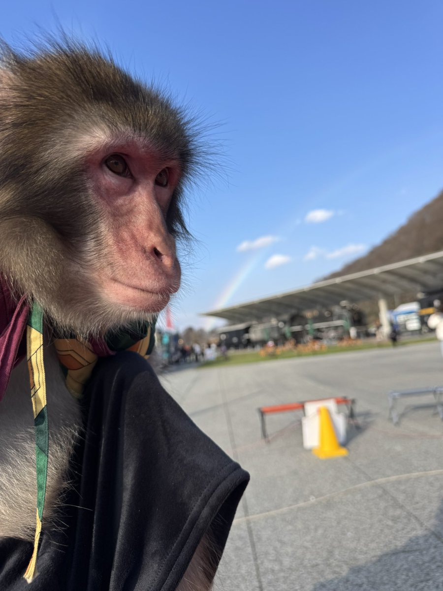 me0827you's tweet photo. 晴天☀️

綺麗な青空に虹がかかる🌈
最高のシチュエーション🐒 https://t.co/8kmyro5Lip
