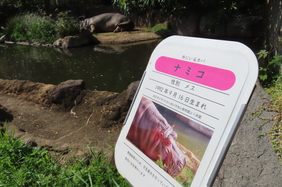 のろ tweet media