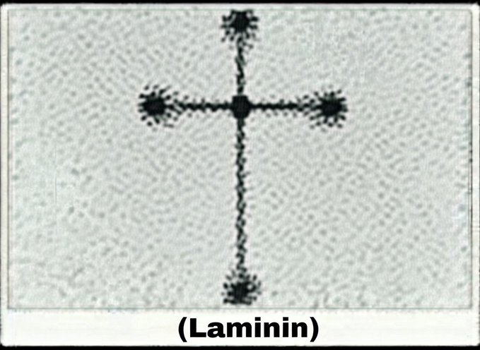 Oliver Burdick tweet media