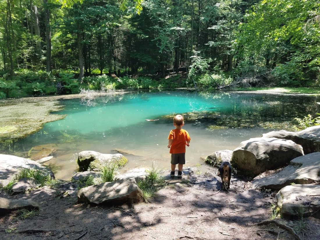 The Kecksburg Alien 🇺🇸🍀🚀🌲 tweet media