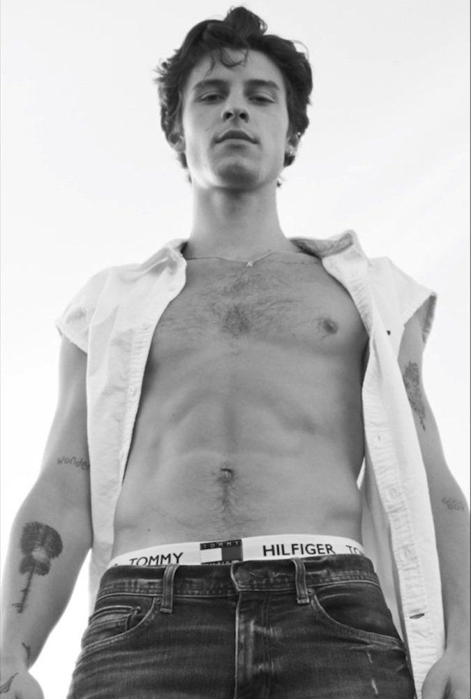 shirtlessxx's tweet photo. shawn mendes https://t.co/L1q50O9cWF