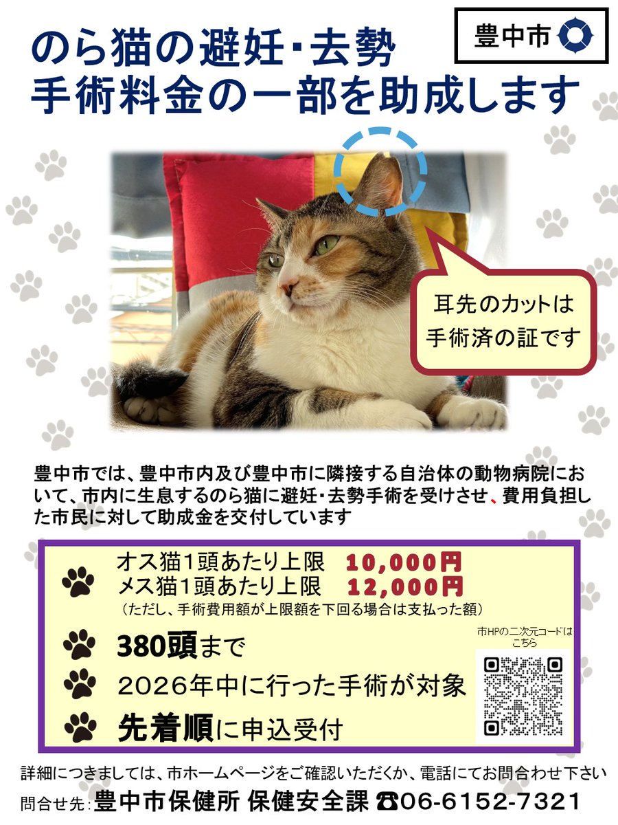 5月1日から、のら猫の避妊去勢手術助成金の申込受付を開始するよ！助成