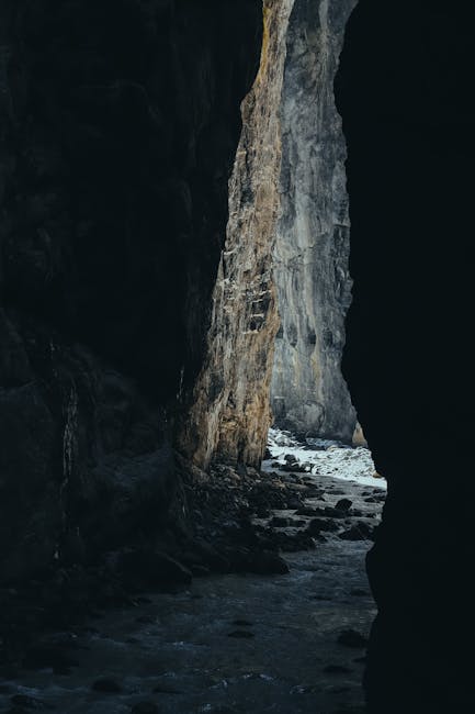 Kendra Rodgers tweet media