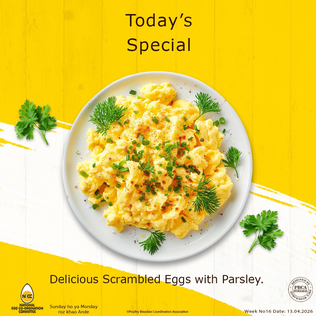 vencobb chicken (@vencobbchicken) on Twitter photo 