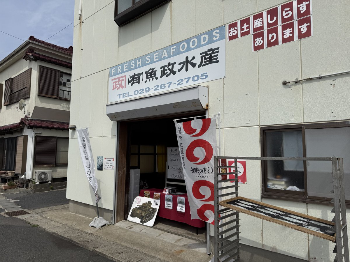 おはようございます☀
先程開店致しました🈺
ヤリイカ入荷しましたので、是非お越しください🦑
しらす漁も出てますので、生しらす、出来立て釜揚げしらすも提供できます！（午後になります）
#大洗　#しらす　#ヤリイカ　#ガルパン　#garupan