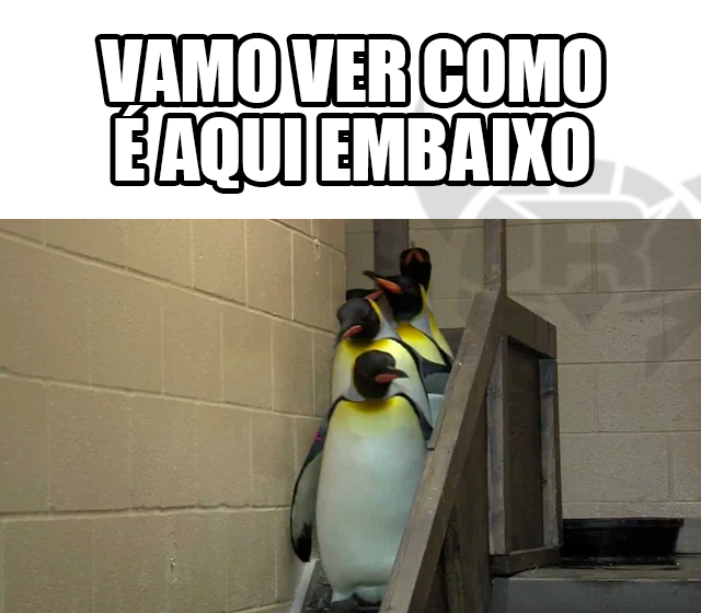 ReloadGamingg's tweet photo. e vamos de lower... https://t.co/lzslE91beY