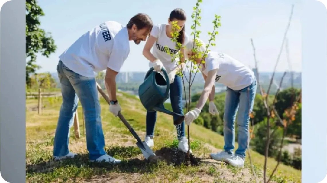 ikeojobor's tweet photo. This image says it all 🌿
It starts with you. Make a difference.

View the post 👉 https://t.co/g6MTl9YLTJ
Earn GREEN on @ECOX_ECOToEarn while you act:
https://t.co/iLhmrtVS04

#ECOX #GREEN #ECO_TO_EARN https://t.co/detsCW3JuB