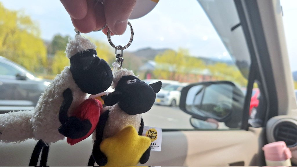 🐮すーしーCP🐷 tweet media