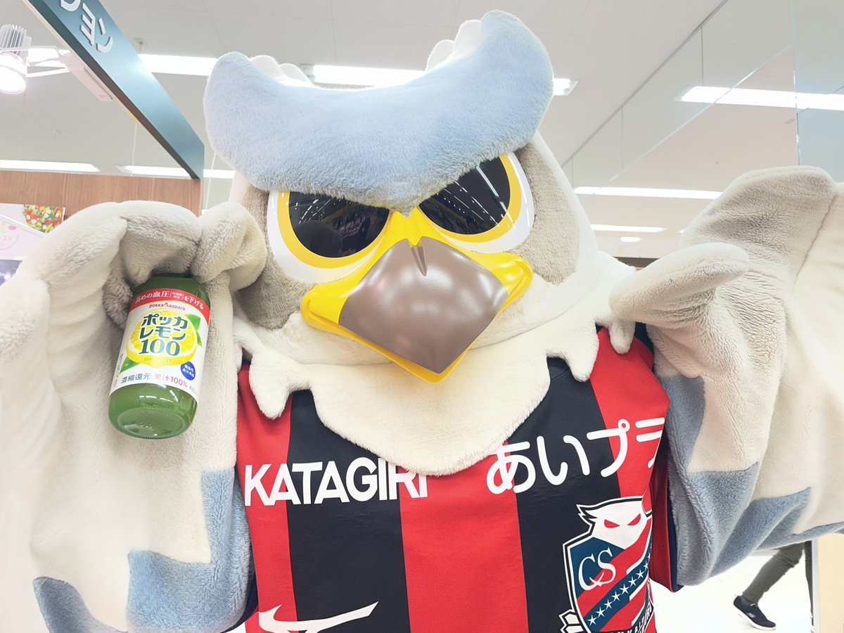 ドーレくん☆ tweet media