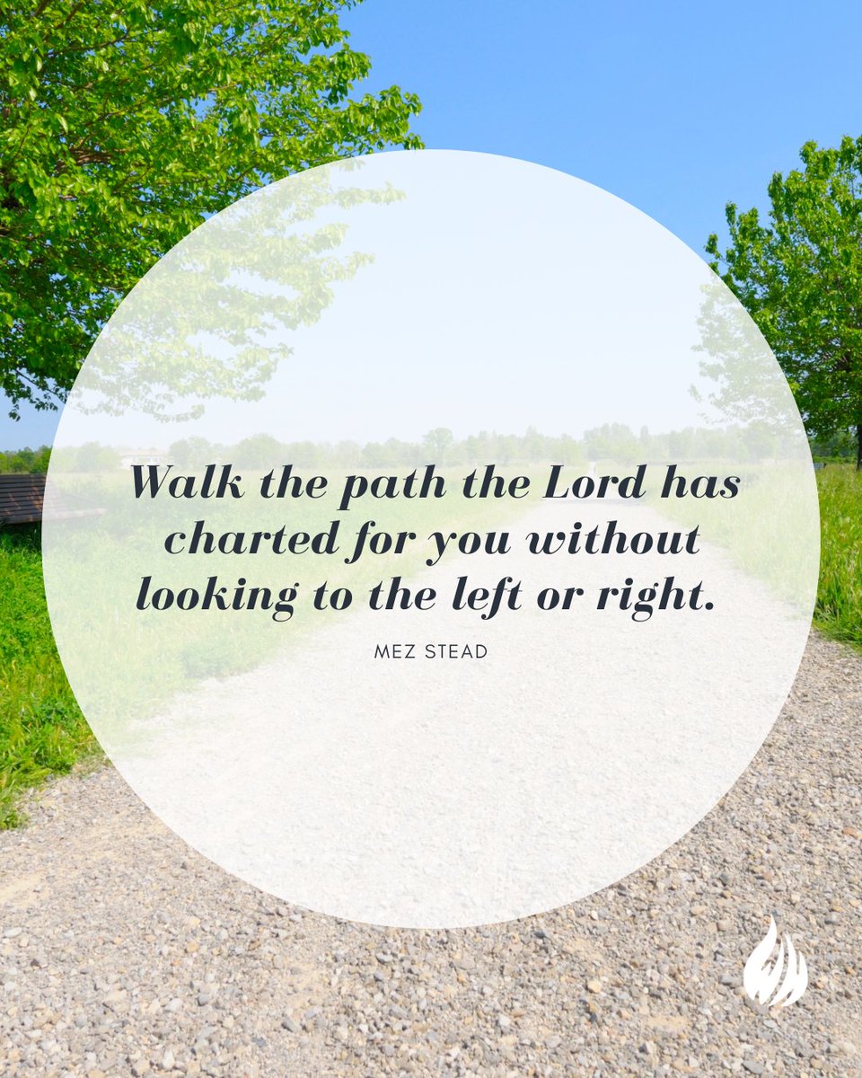 Wisdom Hunters tweet media