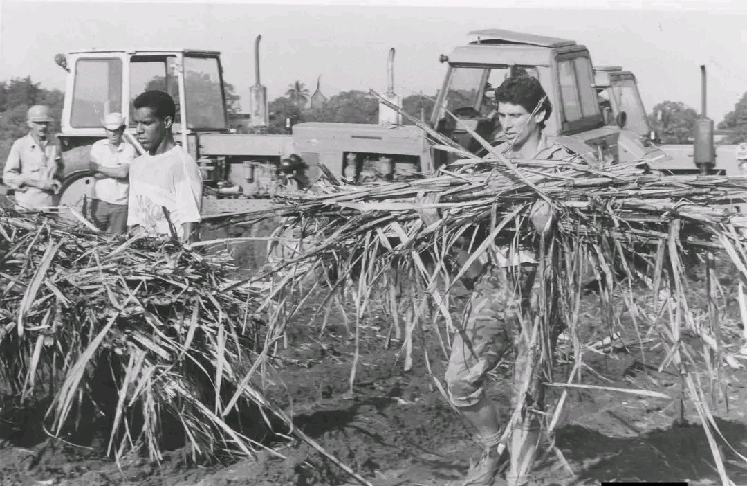 RayDCuba🇨🇺 tweet media