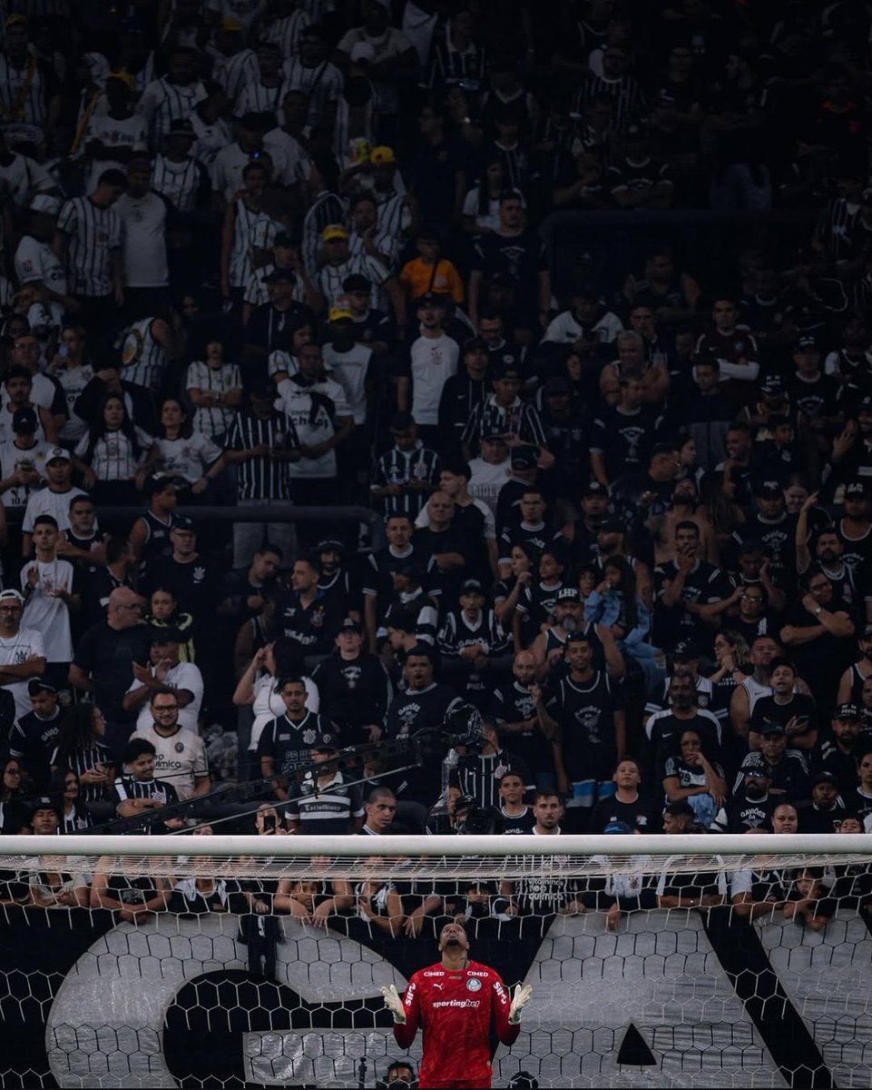 Marques ⓟ tweet media