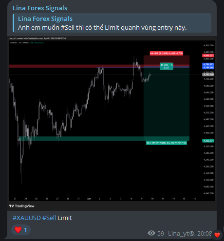 Lina Trading | XAU BTC tweet media