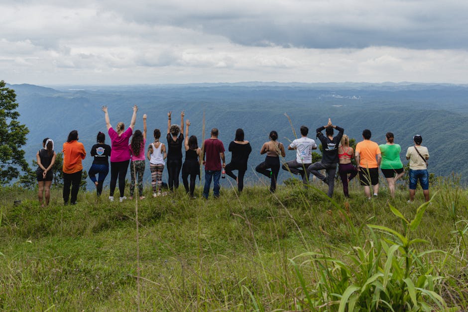 Tim Hancock tweet media