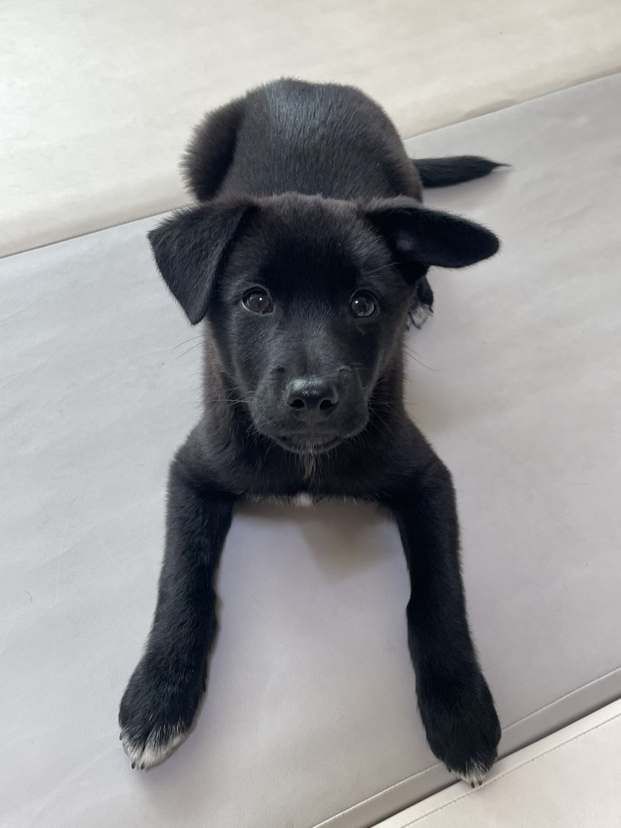 알베르 까뮈 tweet media