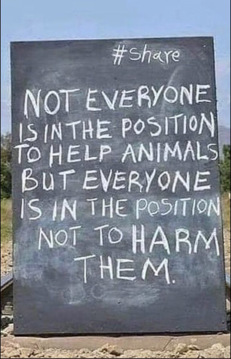 CharBolen's tweet image. IF YOU ADOPT A SHELTER DOG OR CAT PLEASE DON'T RETURN THEM TO A KILL SHELTER 💔⚠️
An adoption return is a big strike against the dog 
or cat.. even tho it's not their fault 💔⚠️ 
Adoption is a serious commitment!! They are not 
store returns!! #4Ever HOME ♥️🏡♥️ 
#SAVE THEM ♥️🏡