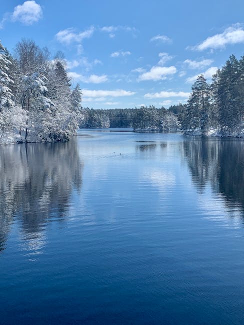 Cynthia Jackson tweet media