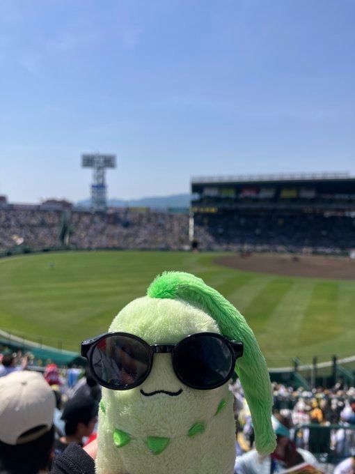 Pokémon Aesthetics tweet media