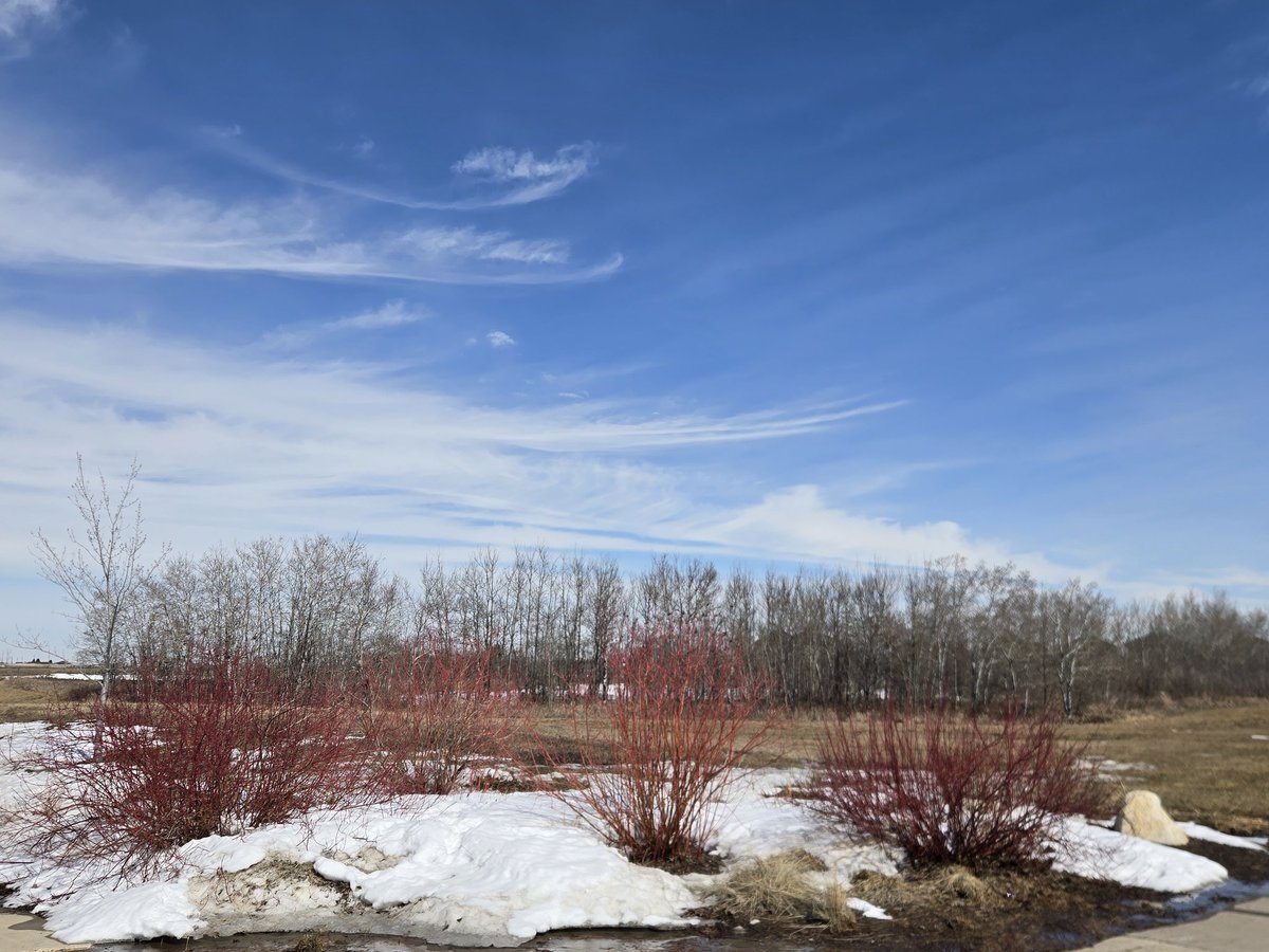 Mohamed .... tweet media