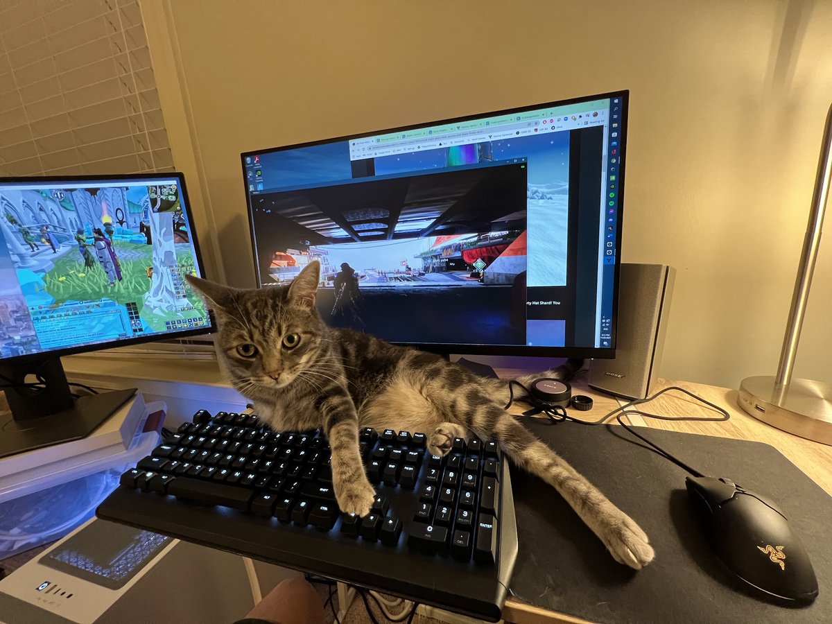 Epic Tofu (Chris) tweet media