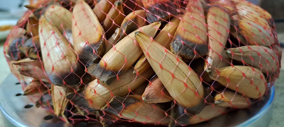 JCVilugron_Silva tweet media