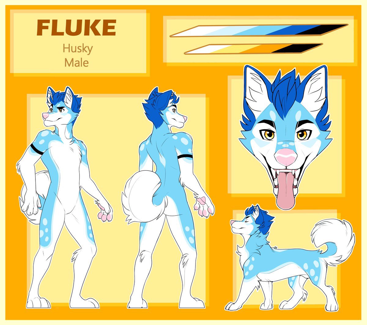 Fluke Husky 🤍 tweet media