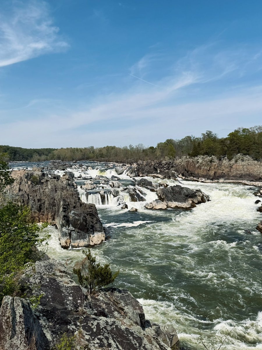 贝塔酱 tweet media