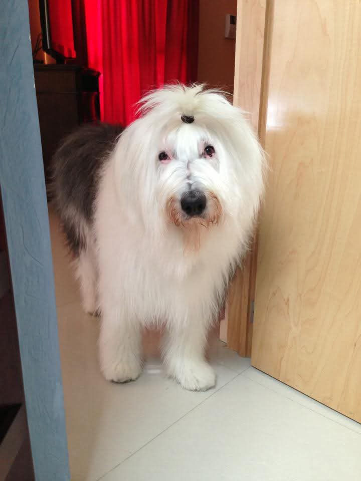 Elena Chávez tweet media