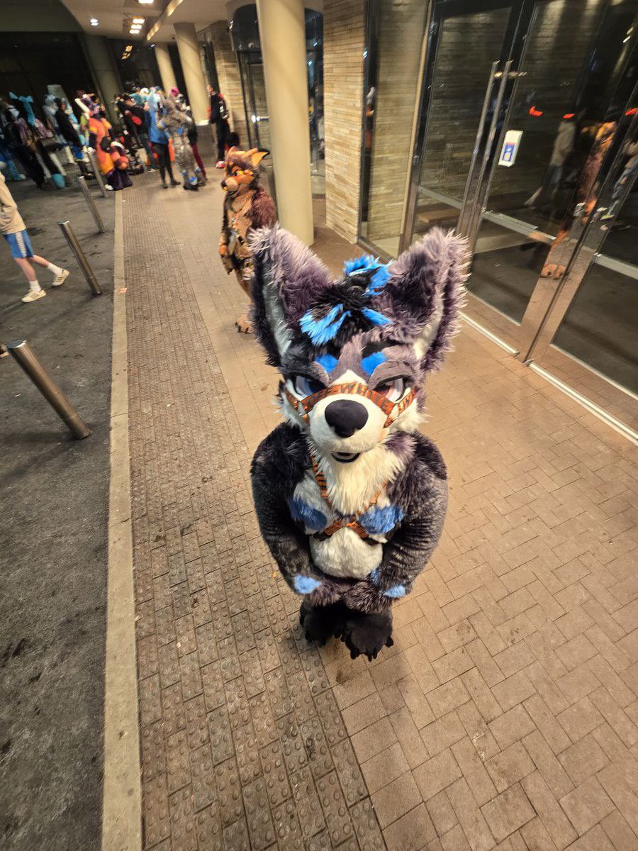 Arkis 🔜 FWA tweet media