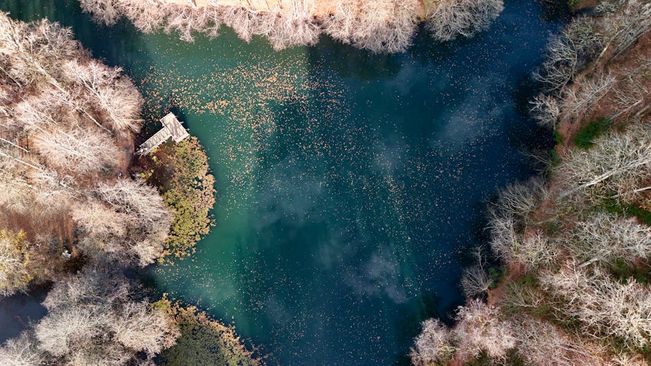 ウサギちゃん tweet media