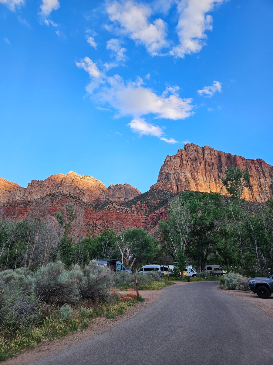 nui ✨️ 🔜 zion birfday 🎂 (4/15) tweet media