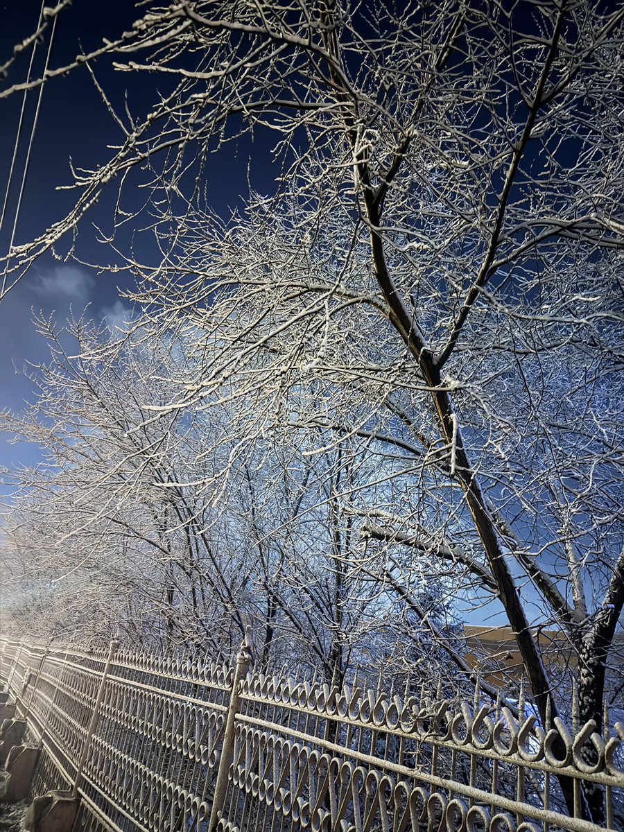 чинзориг tweet media