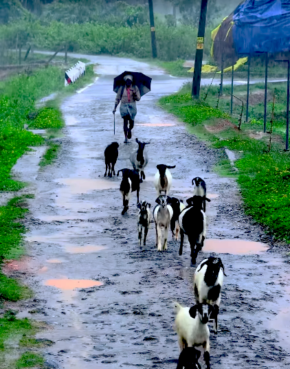 Good morning wishes to all 🥰