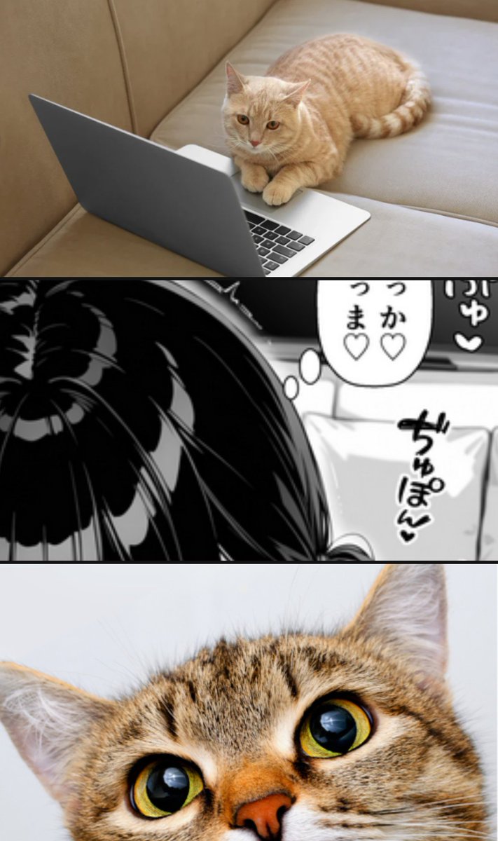 団地 tweet media