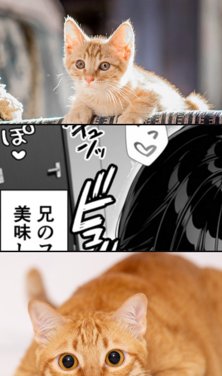 団地 tweet media