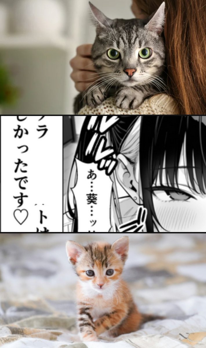 団地 tweet media
